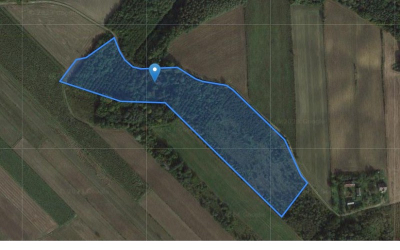 Dom w miejscowości Wierzchowiska Pierwsze, Wierzchowiska Pierwsze (lubelskie). Działka numer: 195. Domy. Wierzchowiska Pierwsze, 23-310, Wierzchowiska Pierwsze, (woj. lubelskie)