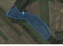 Dom w miejscowości Wierzchowiska Pierwsze, Wierzchowiska Pierwsze (lubelskie). Działka numer: 195. Domy. Wierzchowiska Pierwsze, 23-310, Wierzchowiska Pierwsze, (woj. lubelskie)