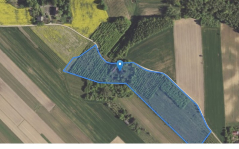 Dom w miejscowości Wierzchowiska Pierwsze, Wierzchowiska Pierwsze (lubelskie). Działka numer: 195. Domy. Wierzchowiska Pierwsze, 23-310, Wierzchowiska Pierwsze, (woj. lubelskie)