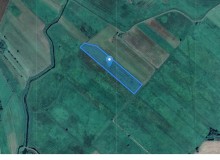 Grunt w miejscowości Jaskra, Jaskra (podlaskie). Działka numer: 11. Działki i grunty. Jaskra, 19-120, Jaskra, (woj. podlaskie)