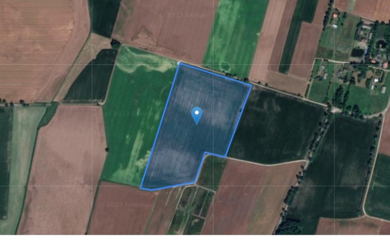 Grunt w miejscowości Nasierowo-Dziurawieniec, Nasierowo-Dziurawieniec (mazowieckie). Działka numer: 41. Działki i grunty. Nasierowo-Dziurawieniec, 06-420, Nasierowo-Dziurawieniec, (woj. mazowieckie)
