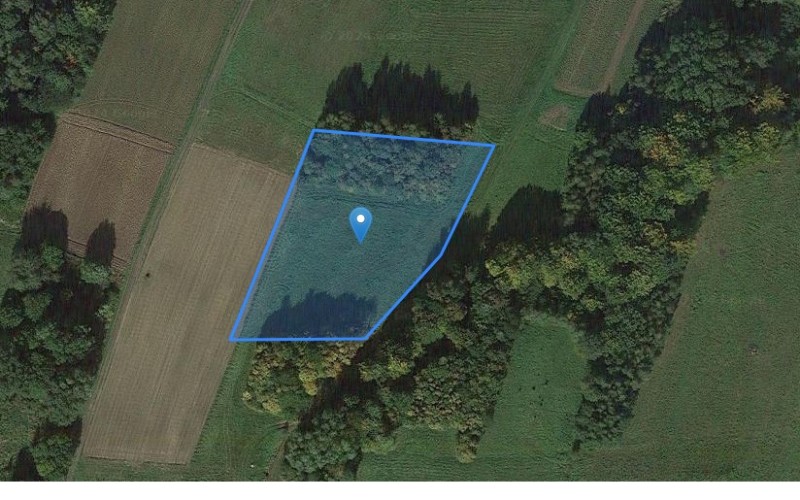Grunt w miejscowości Lecka, Lecka (podkarpackie). Działka numer: 1189. Działki i grunty. Lecka, 36-030, Lecka, (woj. podkarpackie)