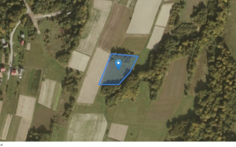 Grunt w miejscowości Lecka, Lecka (podkarpackie). Działka numer: 1189. Działki i grunty. Lecka, 36-030, Lecka, (woj. podkarpackie)