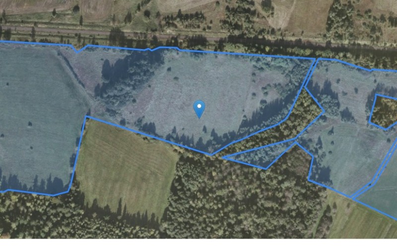 Grunt w miejscowości Kłopotnica, Kłopotnica (dolnośląskie). Działki numer: 9/5, 2/4. Działki i grunty. Kłopotnica, 59-630, Kłopotnica, (woj. dolnośląskie)