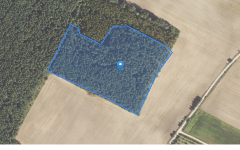 Grunt w miejscowości Kozłowy Ług, Kozłowy Ług (podlaskie). Działka numer: 15/6. Działki i grunty. Kozłowy Ług, 16-113, Kozłowy Ług, (woj. podlaskie)