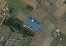Grunt w miejscowości Deszczno, Deszczno (lubuskie). Działka numer: 183. Działki i grunty. Deszczno, 66-446, Deszczno, (woj. lubuskie)
