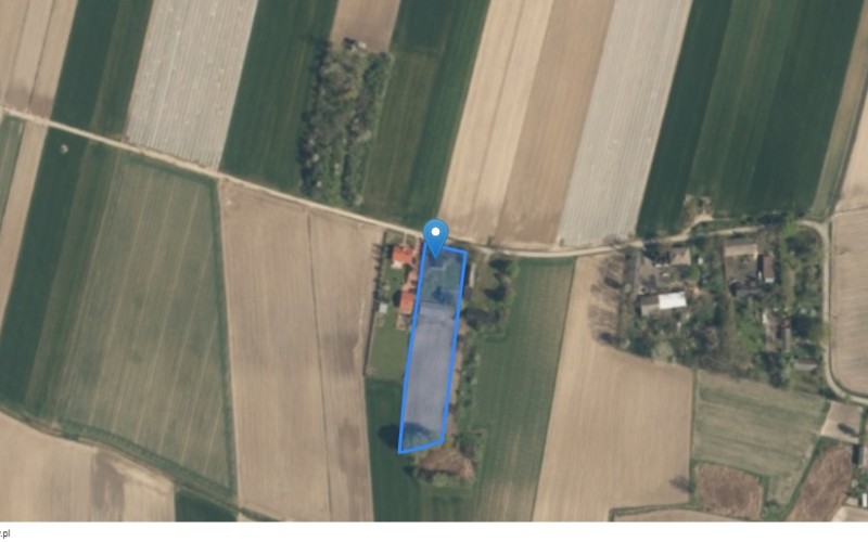 Dom w miejscowości Kostrzewice, Kostrzewice 19 (łódzkie). Działka numer: 55/1. Domy. Kostrzewice 19, 98-235, Kostrzewice, (woj. łódzkie)