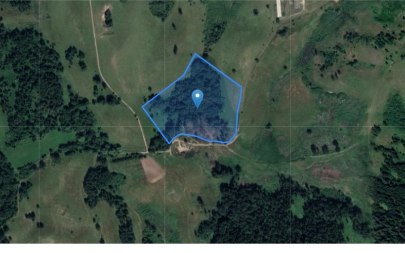 Grunt w miejscowości Żabin, Żabin (warmińsko-mazurskie). Działka numer: 239/7. Działki i grunty. Żabin, 19-520, Żabin, (woj. warmińsko-mazurskie)