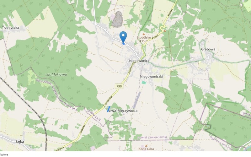 Dom w miejscowości Niegowonice, Wąska 3 (śląskie). Działki numer: 7165, 9020, 9130. Domy. Wąska 3, 42-454, Niegowonice, (woj. śląskie)