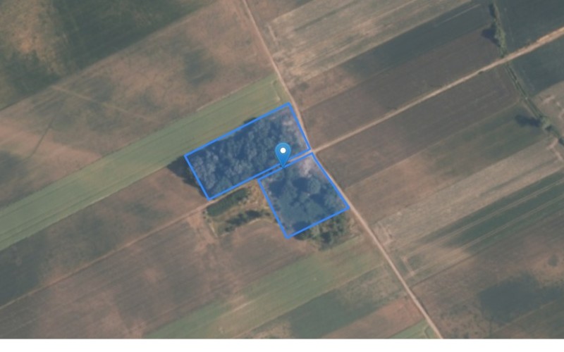 Grunt w miejscowości Objazda, Kowalowice, Smogorzów, Objazda, Kowalowice, Smogorzów (opolskie). Działki numer: 29/2, 30/2, 31/11, 26/3, 99, 75/4, 143/4. Działki i grunty. Objazda, Kowalowice, Smogorzów, 46-142, Objazda, Kowalowice, Smogorzów, (woj. opolskie)