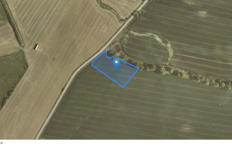 Grunt w miejscowości Pęcław, Pęcław (dolnośląskie). Działka numer: 310/206. Działki i grunty. Pęcław, 67-221, Pęcław, (woj. dolnośląskie)