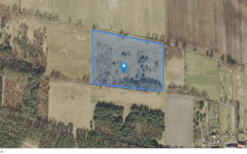 Grunt w miejscowości Zielona Góra, Zielona Góra (lubuskie). Działka numer: 85. Działki i grunty. Zielona Góra, 65-001, Zielona Góra, (woj. lubuskie)