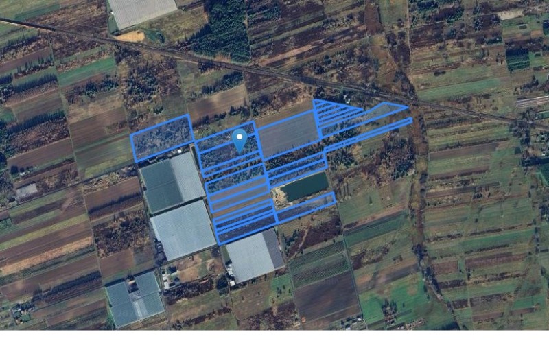 Grunt w miejscowości Dziecinów, Dziecinów (mazowieckie). Działki numer: 195, 921, 189, 201/2, 199/1, 200, 204, 75, 205, 197, 133, 193, 76, 192, 203, 74, 77, 78, 80, 198, 201/1, 81/3. Działki i grunty. Dziecinów, 08-443, Sobienie Jeziory, (woj. mazowieckie)