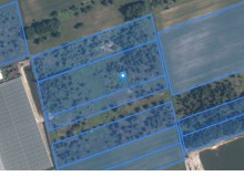 Grunt w miejscowości Dziecinów, Dziecinów (mazowieckie). Działki numer: 195, 921, 189, 201/2, 199/1, 200, 204, 75, 205, 197, 133, 193, 76, 192, 203, 74, 77, 78, 80, 198, 201/1, 81/3. Działki i grunty. Dziecinów, 08-443, Sobienie Jeziory, (woj. mazowieckie)