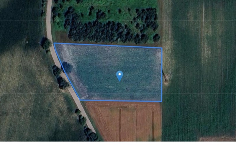 Grunt w miejscowości Cholewy, Cholewy (mazowieckie). Działka numer: 170/8. Działki i grunty. Cholewy, 05-870, Cholewy, (woj. mazowieckie)