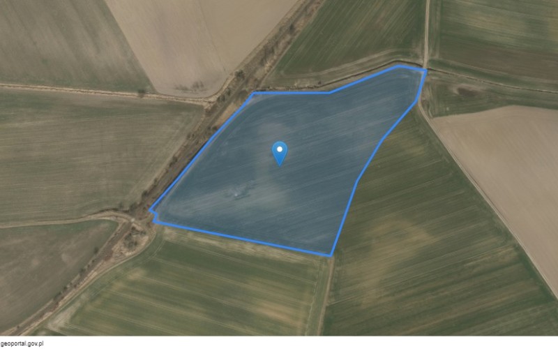 Grunt w miejscowości Szczepanów, Szczepanów (dolnośląskie). Działka numer: 200/3. Działki i grunty. Szczepanów, 58-124, Szczepanów, (woj. dolnośląskie)