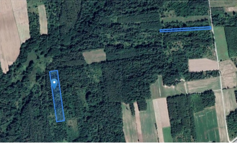 Grunt w miejscowości Borkowice, Borkowice (mazowieckie). Działki numer: 261, 192. Działki i grunty. Borkowice, 24-400, Borkowice, (woj. mazowieckie)