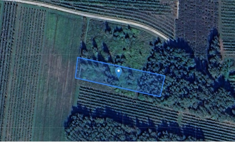 Grunt w miejscowości Wandalin, Wandalin (lubelskie). Działka numer: 729/1. Działki i grunty. Wandalin, 24-300, Wandalin, (woj. lubelskie)