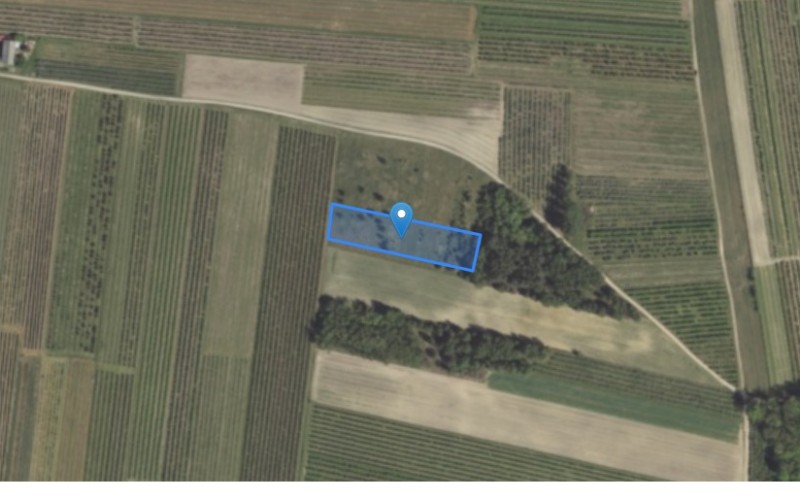Grunt w miejscowości Wandalin, Wandalin (lubelskie). Działka numer: 729/1. Działki i grunty. Wandalin, 24-300, Wandalin, (woj. lubelskie)