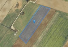 Grunt w miejscowości Padniewo, Padniewo (kujawsko-pomorskie). Działka numer: 371. Działki i grunty. Padniewo, 88-300, Padniewo, (woj. kujawsko-pomorskie)