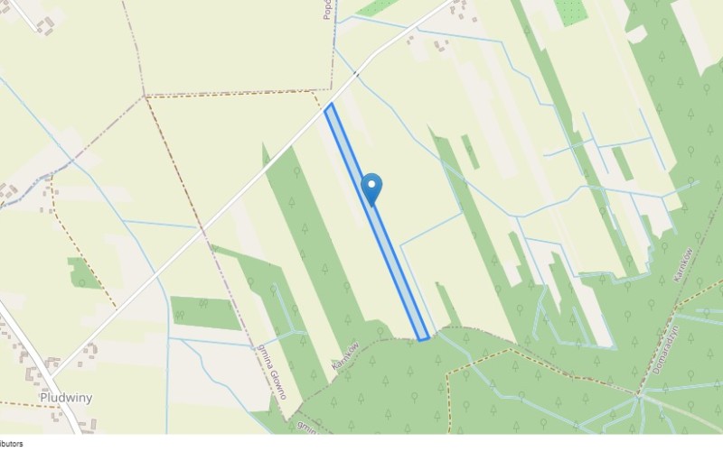Grunt w miejscowości Karnków, Karnków (łódzkie). Działka numer: 163. Działki i grunty. Karnków, 95-011, Karnków, (woj. łódzkie)