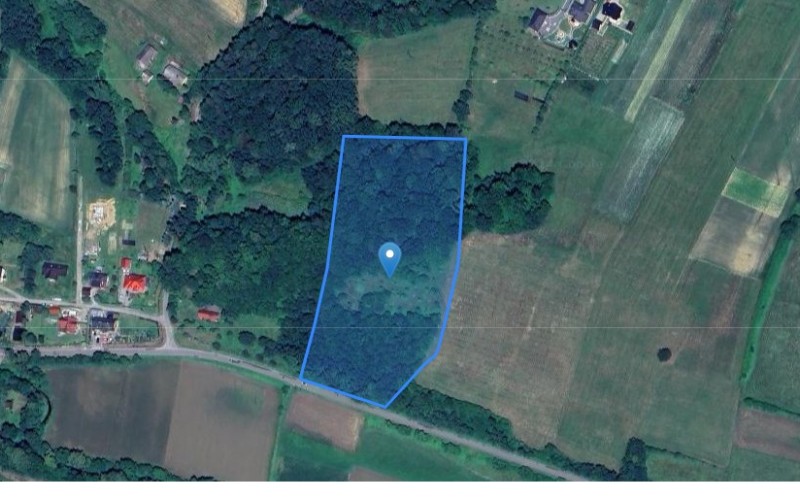 Grunt w miejscowości Korzenna, Korzenna (małopolskie). Działka numer: 133. Działki i grunty. Korzenna, 33-322, Korzenna, (woj. małopolskie)