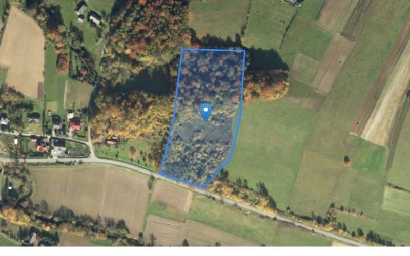 Grunt w miejscowości Korzenna, Korzenna (małopolskie). Działka numer: 133. Działki i grunty. Korzenna, 33-322, Korzenna, (woj. małopolskie)