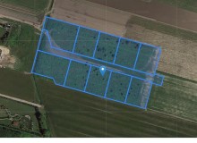 Grunt w miejscowości Nowa Wola, Nowa Wola (mazowieckie). Działki numer: 252/26, 252/21, 252/22, 252/23, 252/24, 252/25, 252/27, 252/28, 252/29, 252/30, 252/31. Działki i grunty. Nowa Wola, 02-872, Nowa Wola, (woj. mazowieckie)