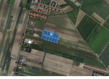 Grunt w miejscowości Nowa Wola, Nowa Wola (mazowieckie). Działki numer: 252/26, 252/21, 252/22, 252/23, 252/24, 252/25, 252/27, 252/28, 252/29, 252/30, 252/31. Działki i grunty. Nowa Wola, 02-872, Nowa Wola, (woj. mazowieckie)