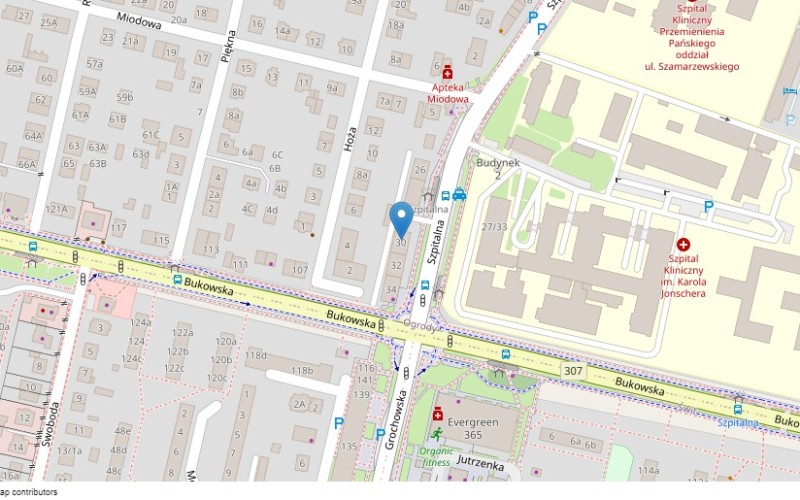 Mieszkanie w miejscowości Poznań, Szpitalna 30/1 (wielkopolskie). Mieszkania. Szpitalna 30/1, 60-397, Poznań, (woj. wielkopolskie)