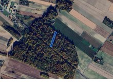 Nieruchomość w miejscowości Wola Duża, Wola Duża (lubelskie). Inne. Wola Duża, 23-100, Wola Duża, (woj. lubelskie)