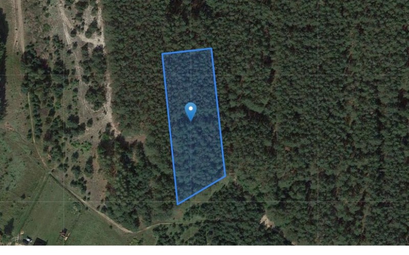 Grunt w miejscowości Kaliska, Kaliska (mazowieckie). Działka numer: 254/3. Działki i grunty. Kaliska, 07-130, Kaliska, (woj. mazowieckie)