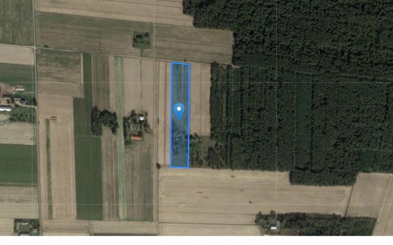 Grunt w miejscowości Siedliska, Siedliska (lubelskie). Działka numer: 1138. Działki i grunty. Siedliska, 21-411, Siedliska, (woj. lubelskie)