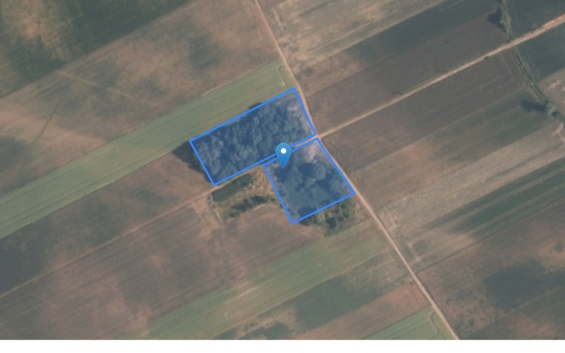 Grunt w miejscowości Objazda, Smogorzów, Kowalowice, Objazda, Smogorzów, Kowalowice (opolskie). Działki numer: 29/2, 30/2, 31/11, 26/3, 99, 75/4, 143/4. Działki i grunty. Objazda, Smogorzów, Kowalowice, 46-142, Objazda, Smogorzów, Kowalowice, (woj. opolskie)