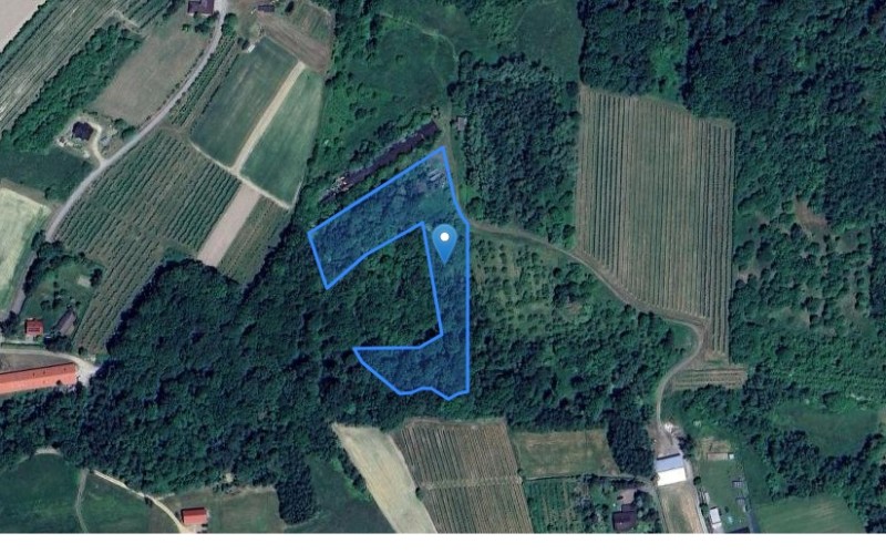 Grunt w miejscowości Raciechowice, Raciechowice (małopolskie). Działka numer: 427. Działki i grunty. Raciechowice, 32-415, Raciechowice, (woj. małopolskie)