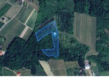 Grunt w miejscowości Raciechowice, Raciechowice (małopolskie). Działka numer: 427. Działki i grunty. Raciechowice, 32-415, Raciechowice, (woj. małopolskie)