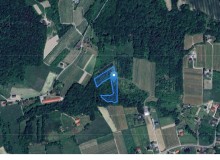 Grunt w miejscowości Raciechowice, Raciechowice (małopolskie). Działka numer: 427. Działki i grunty. Raciechowice, 32-415, Raciechowice, (woj. małopolskie)