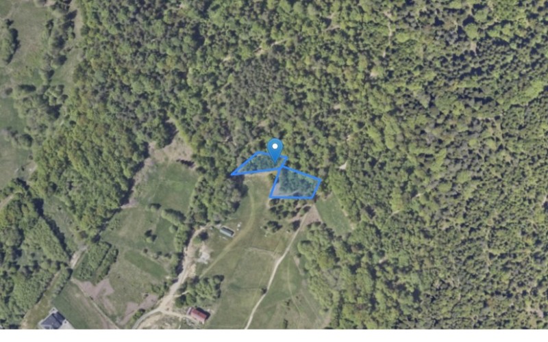 Grunt w miejscowości Łodygowice, Łodygowice (śląskie). Działki numer: 871/1, 650/2, 648. Działki i grunty. Łodygowice, 43-325, Łodygowice, (woj. śląskie)