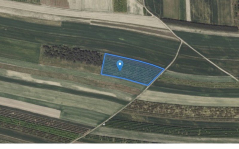 Grunt w miejscowości Popów, Popów (lubelskie). Działki numer: 898, 623. Działki i grunty. Popów, 23-253, Popów, (woj. lubelskie)