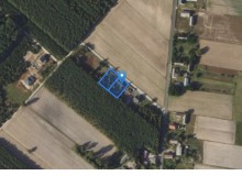 Dom w miejscowości Drzewce, Drzewce (wielkopolskie). Działki numer: 15/5, 15/6. Domy. Drzewce, 62-613, Drzewce, (woj. wielkopolskie)