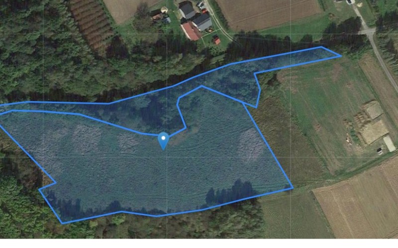 Grunt w miejscowości Błędowa Tyczyńska, Błędowa Tyczyńska (podkarpackie). Działki numer: 699/2, 698. Działki i grunty. Błędowa Tyczyńska, 36-017, Błędowa Tyczyńska, (woj. podkarpackie)