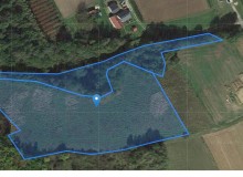 Grunt w miejscowości Błędowa Tyczyńska, Błędowa Tyczyńska (podkarpackie). Działki numer: 699/2, 698. Działki i grunty. Błędowa Tyczyńska, 36-017, Błędowa Tyczyńska, (woj. podkarpackie)