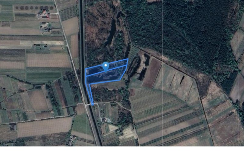 Grunt w miejscowości Szczekarków-Kolonia, Szczekarków-Kolonia (lubelskie). Działki numer: 486/2, 486/1. Działki i grunty. Szczekarków-Kolonia, 24-313, Szczekarków-Kolonia, (woj. lubelskie)