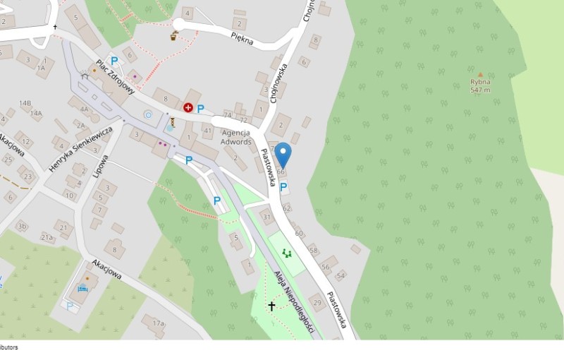 Nieruchomość komercyjna w miejscowości Jedlina-Zdrój, Piastowska 66 (dolnośląskie). Nieruchomości komercyjne. Piastowska 66, 58-330, Jedlina-Zdrój, (woj. dolnośląskie)