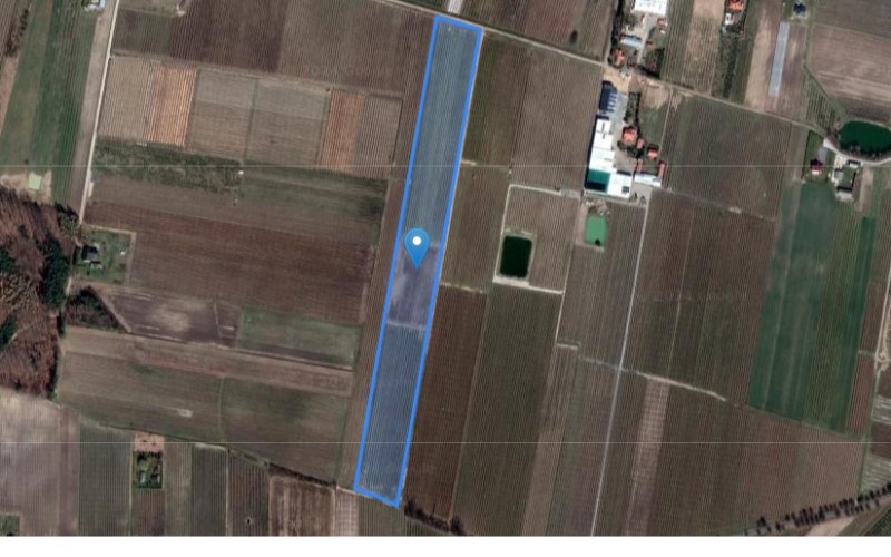 Grunt w miejscowości Franopol, Franopol (łódzkie). Działka numer: 191/6. Działki i grunty. Franopol, 96-200, Franopol, (woj. łódzkie)