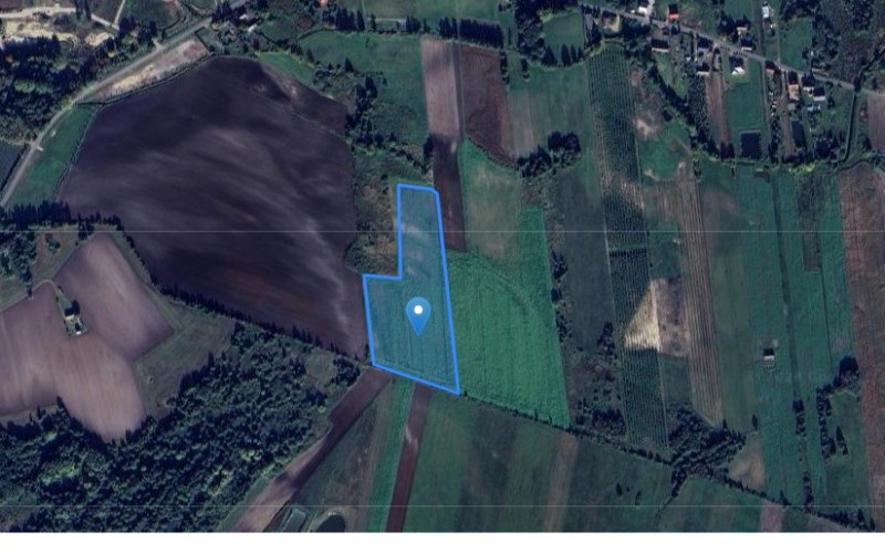 Grunt w miejscowości Bilczew, Bilczew (wielkopolskie). Działka numer: 407. Działki i grunty. Bilczew, 62-511, Bilczew, (woj. wielkopolskie)