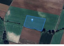 Grunt w miejscowości Łozina, Nowego Osiedla (dolnośląskie). Działka numer: 245. Działki i grunty. Nowego Osiedla, 55-094, Łozina, (woj. dolnośląskie)