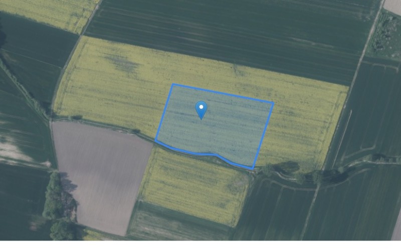 Grunt w miejscowości Łozina, Nowego Osiedla (dolnośląskie). Działka numer: 245. Działki i grunty. Nowego Osiedla, 55-094, Łozina, (woj. dolnośląskie)