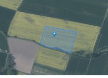 Grunt w miejscowości Łozina, Nowego Osiedla (dolnośląskie). Działka numer: 245. Działki i grunty. Nowego Osiedla, 55-094, Łozina, (woj. dolnośląskie)