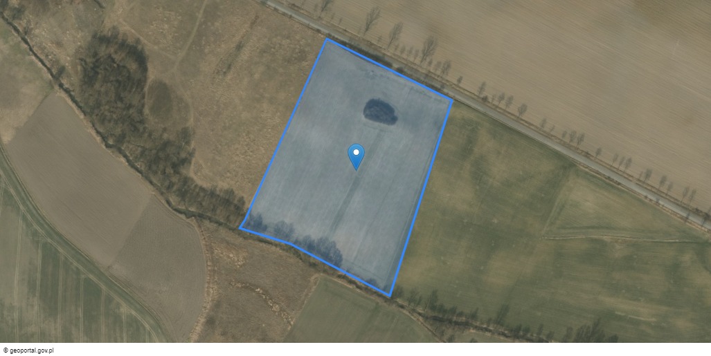 Grunt w miejscowości Tyniec Legnicki, Tyniec Legnicki (dolnośląskie